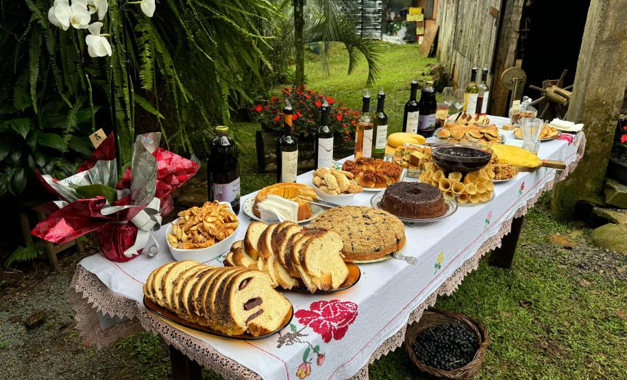 Capital do Vinho do Paraná, Bituruna é destaque em roteiro nacional de enoturismo