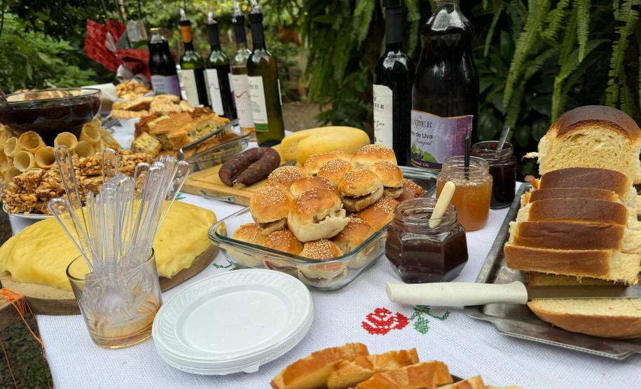 Capital do Vinho do Paraná, Bituruna é destaque em roteiro nacional de enoturismo