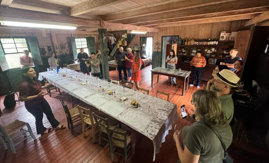 Capital do Vinho do Paraná, Bituruna é destaque em roteiro nacional de enoturismo