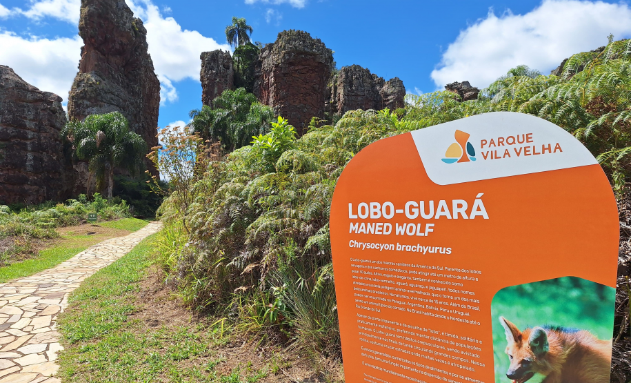 Créditos Viaje Paraná