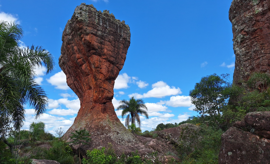 Créditos Viaje Paraná