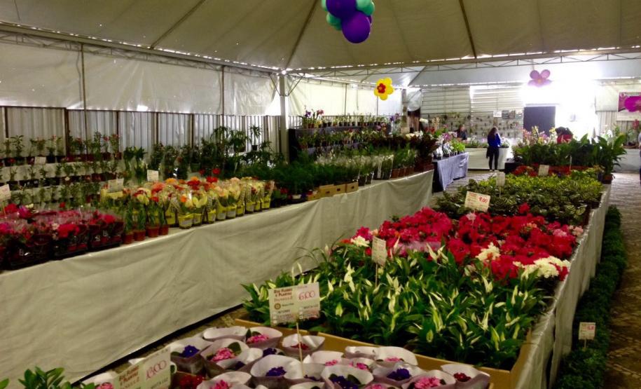 Expo&Flor - Créditos Divulgação
