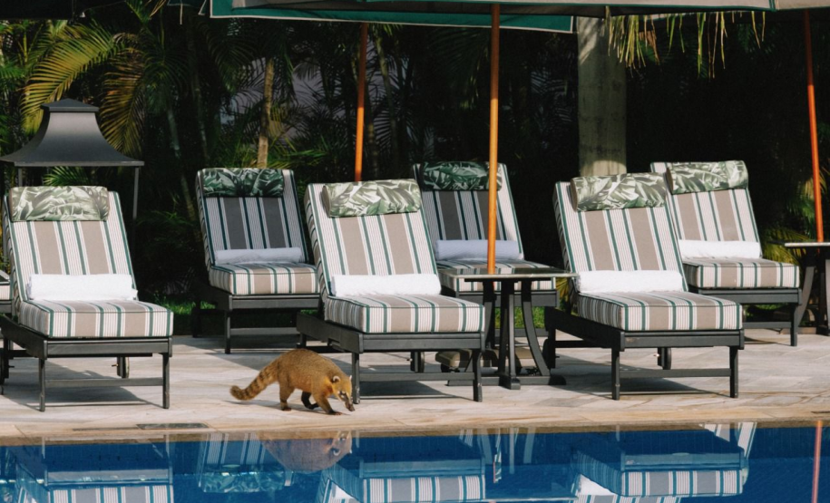 Hotel das Cataratas a Belmond Hotel