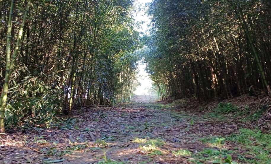 Novo circuito de turismo rural