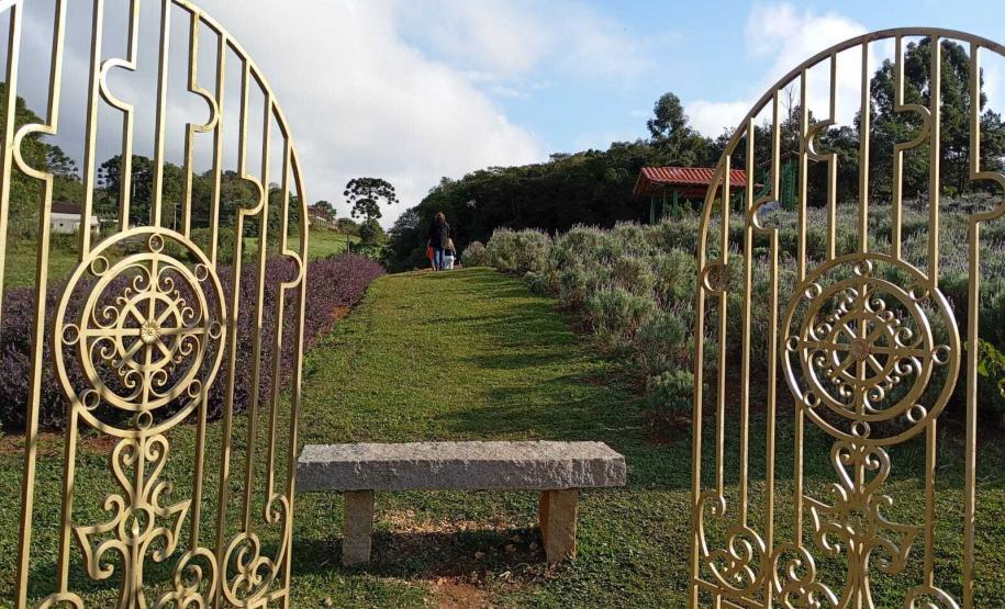 Rota das Lavandas Paraná