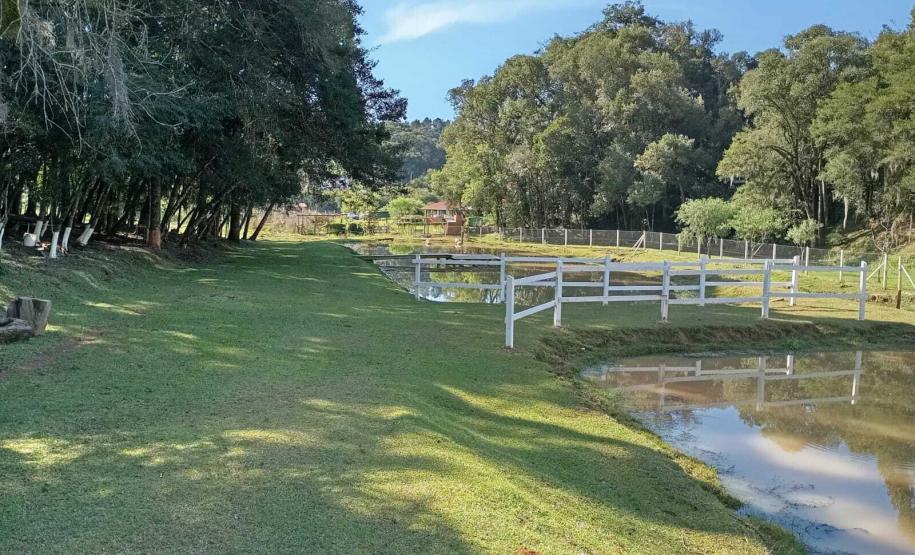 Rota das Lavandas Paraná