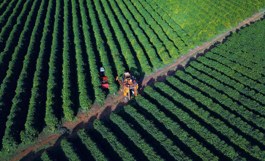 José Fernando Ogura AEN