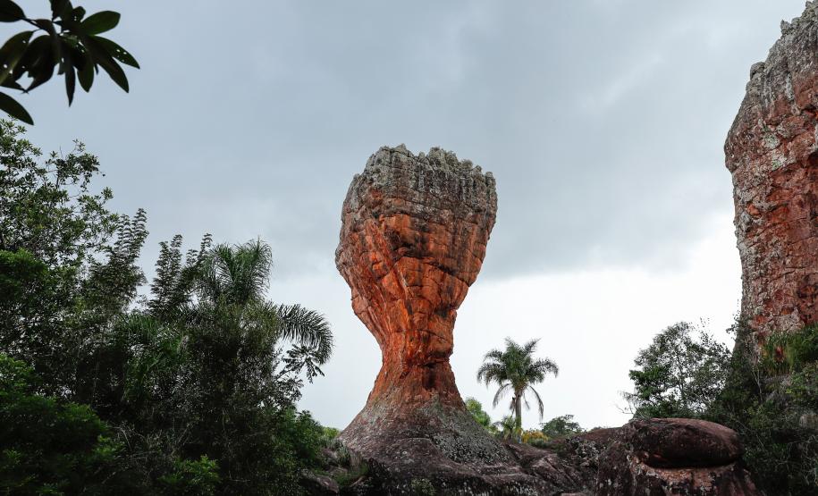 Parque Estadual Vila Velha Créditos José Fernando Ogura AEN