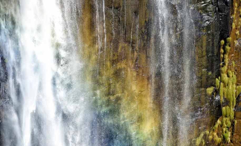 Denis Ferreira Netto SEDEST-PR