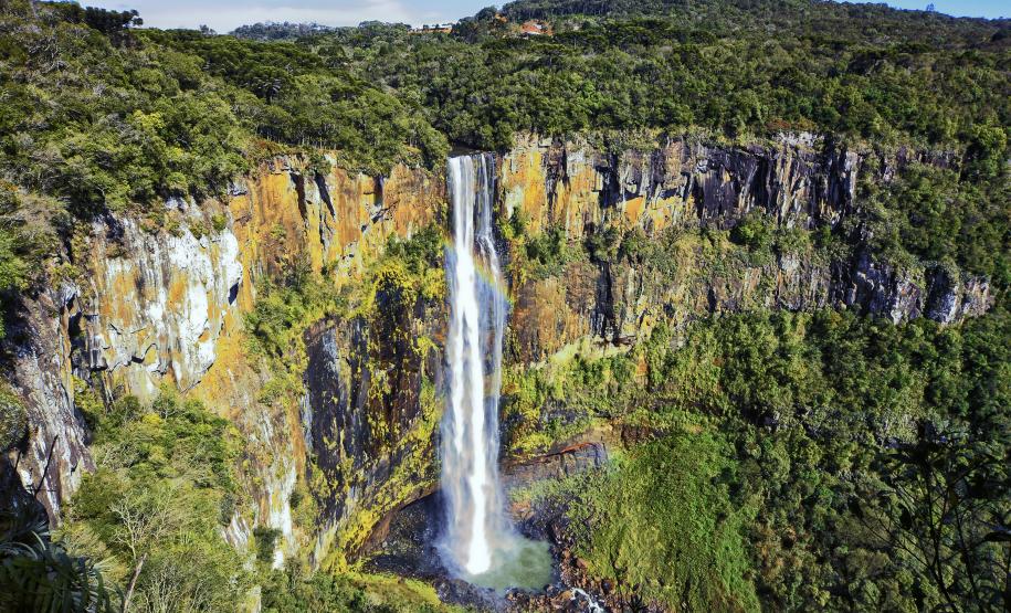 Denis Ferreira Netto SEDEST-PR