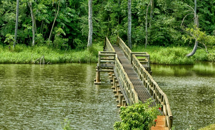 Denis Ferreira Netto SEDEST-PR