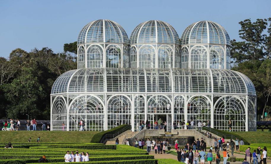 Roberto Dziura Jr AEN