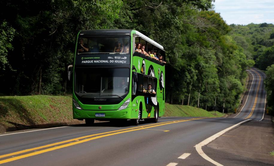 Aumento de 18%: Paraná já recebeu 826 mil turistas estrangeiros em 2025
