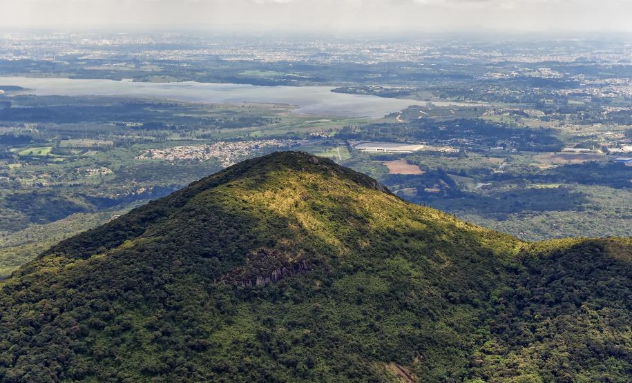 Denis Ferreira Netto SEDEST-PR