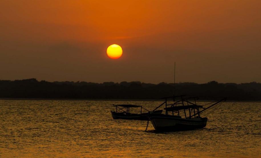 Reginaldo Ferreira SPVS