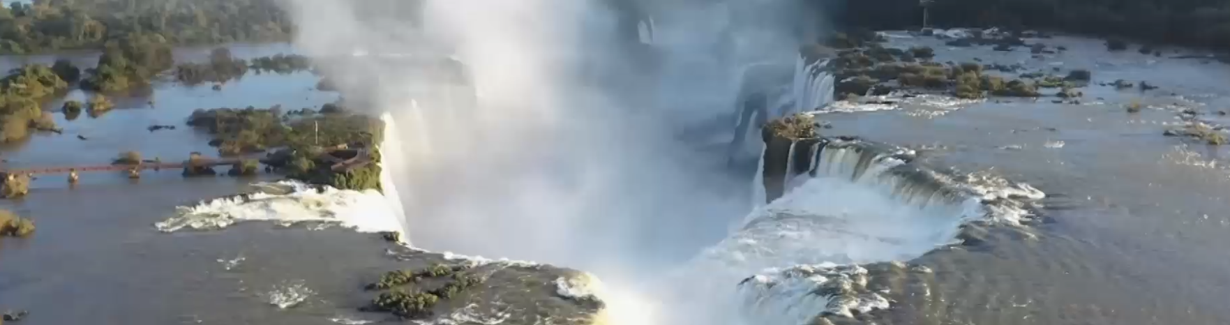 Vídeo mostra capivara se refrescando na praia de Santa Clara